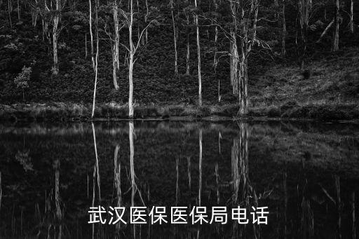 武漢社保咨詢電話，武漢醫(yī)保醫(yī)保局電話