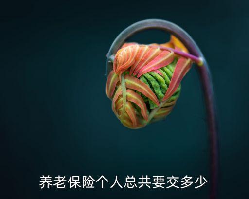 個(gè)人養(yǎng)老保險(xiǎn)繳費(fèi)標(biāo)準(zhǔn)，養(yǎng)老保險(xiǎn)個(gè)人總共要交多少