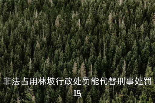 林坡，非法占用林坡行政處罰能代替刑事處罰嗎