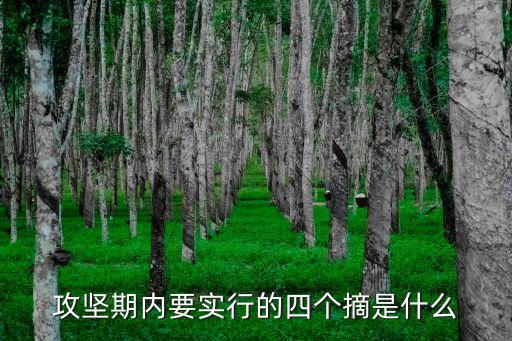 攻堅期內(nèi)要實行的四個摘是什么