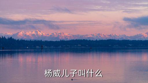 楊文昌，楊威兒子叫什么