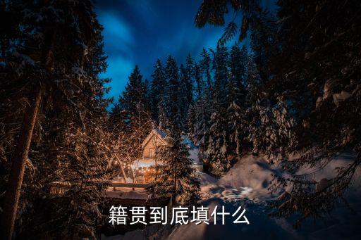 籍貫到底填什么