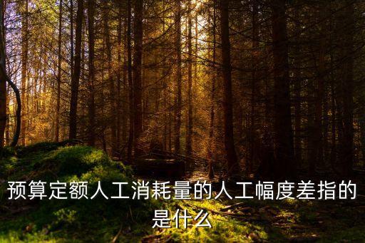 人工幅度差，預(yù)算定額人工消耗量的人工幅度差指的是什么