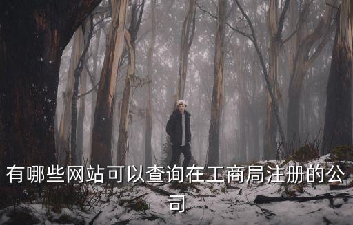 有哪些網(wǎng)站可以查詢?cè)诠ど叹肿?cè)的公司
