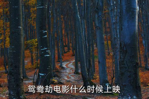 聶俊，起名字姓聶 要一個(gè)帥帥的蛤