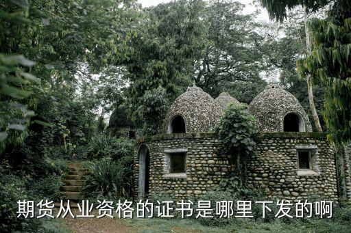 中國(guó)期貨業(yè)協(xié)會(huì)，大家對(duì)中國(guó)期貨業(yè)協(xié)會(huì)有什么了解嗎