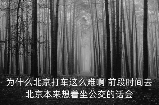 為什么北京打車這么難啊 前段時間去北京本來想著坐公交的話會