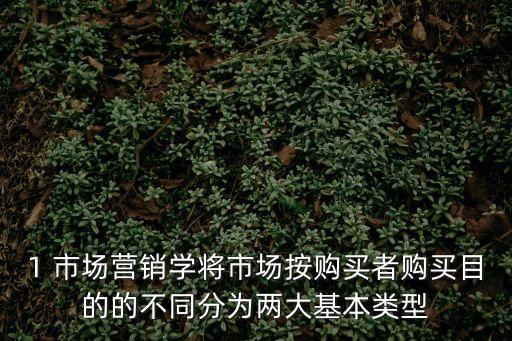 1 市場營銷學(xué)將市場按購買者購買目的的不同分為兩大基本類型