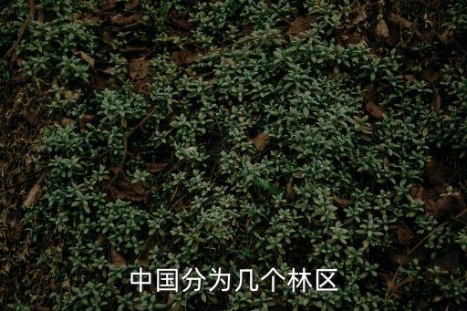 中國分為幾個(gè)林區(qū)