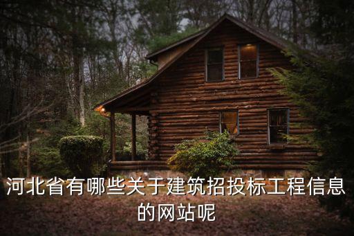 河北省招投標(biāo)，如何在河北省招投標(biāo)網(wǎng)發(fā)布招標(biāo)公告
