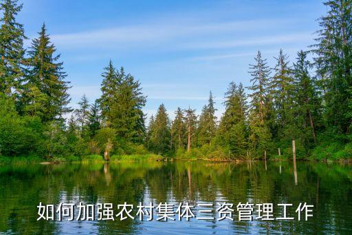 如何加強(qiáng)農(nóng)村集體三資管理工作