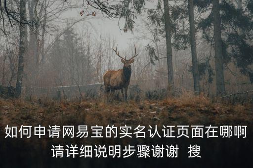 如何申請(qǐng)網(wǎng)易寶的實(shí)名認(rèn)證頁(yè)面在哪啊請(qǐng)?jiān)敿?xì)說(shuō)明步驟謝謝  搜