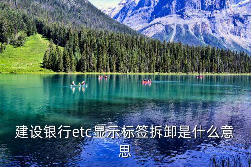 建設(shè)銀行etc顯示標(biāo)簽拆卸是什么意思