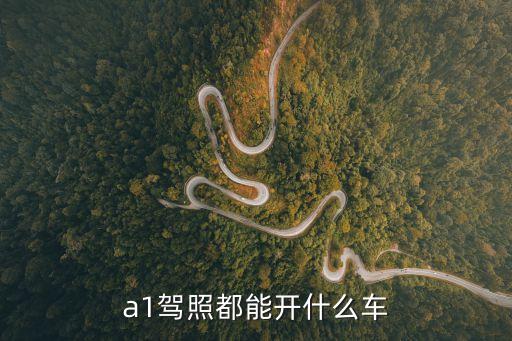 a1駕駛證能開什么車，a1駕照都能開什么車