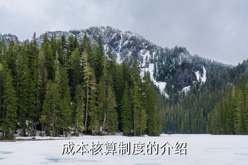 成本核算制度，成本核算辦法