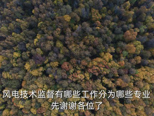 技術(shù)監(jiān)督，風(fēng)電技術(shù)監(jiān)督有哪些工作分為哪些專業(yè)先謝謝各位了