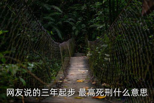 網(wǎng)友說(shuō)的三年起步 最高死刑什么意思