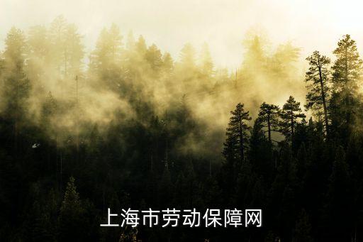 上海市勞動(dòng)保障網(wǎng)