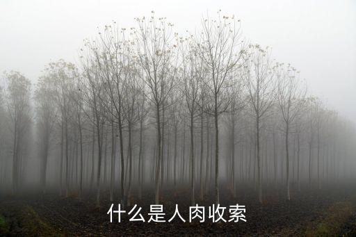 什么是人肉收索