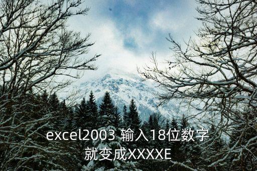 xxxe，excel2003 輸入18位數(shù)字就變成XXXXE