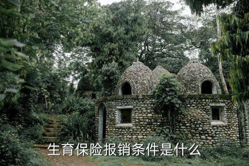 生育保險(xiǎn)報(bào)銷條件是什么