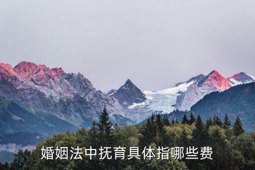 撫育，怎樣可以更好撫育小孩