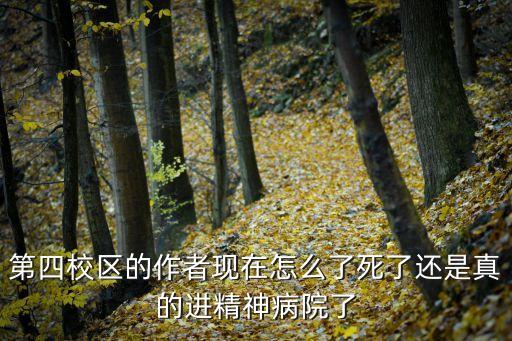 第四校區(qū)的作者現(xiàn)在怎么了死了還是真的進(jìn)精神病院了