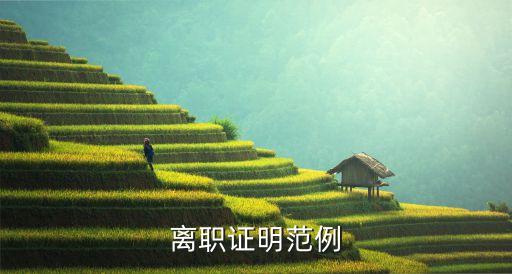 離職證明范例
