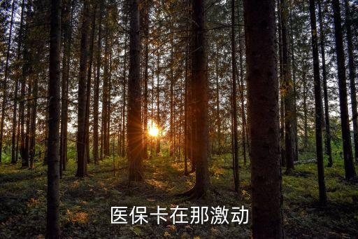 醫(yī)保卡在那激動