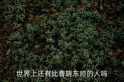 曹曉東，世界上還有比曹曉東能裝的人嗎
