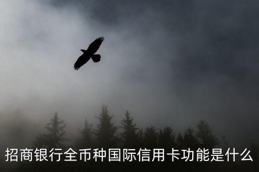 招商銀行全幣種國際信用卡，招商銀行VISA全幣種國際信用卡人民幣還款美元的匯率是多少