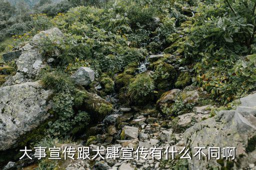 大事宣傳跟大肆宣傳有什么不同啊