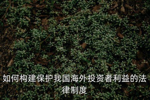 如何構(gòu)建保護我國海外投資者利益的法律制度