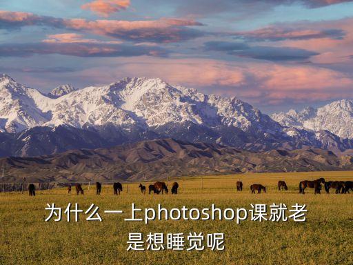 為什么一上photoshop課就老是想睡覺(jué)呢