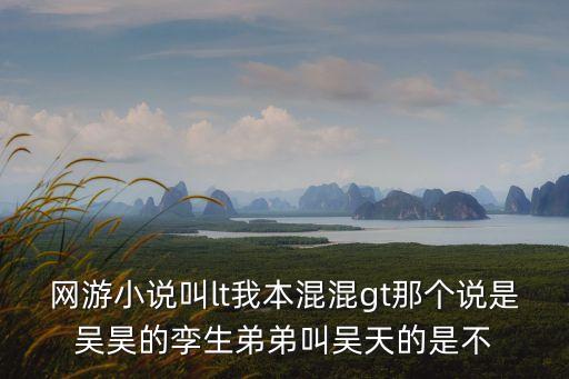 我本混混，網(wǎng)游小說(shuō)叫l(wèi)t我本混混gt那個(gè)說(shuō)是吳昊的孿生弟弟叫吳天的是不