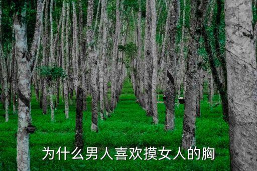 男生摸女生胸部，男人要怎樣摸女人胸部