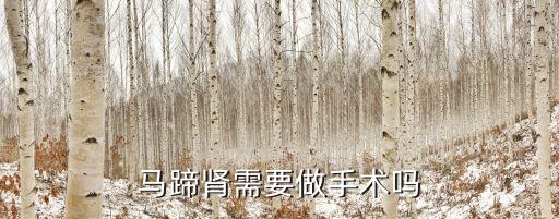 馬蹄腎人均壽命，馬蹄腎需要做手術(shù)嗎
