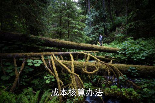 成本核算辦法