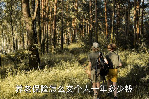 養(yǎng)老保險怎么交個人一年多少錢