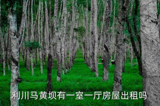 利川馬黃壩有一室一廳房屋出租嗎