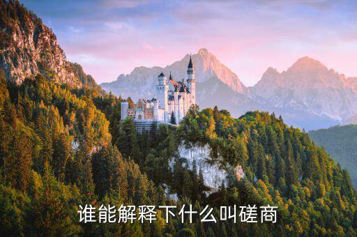 磋商，誰能解釋下什么叫磋商