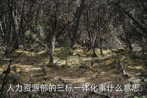 三標一體是指什么，什么是三標一體系制度
