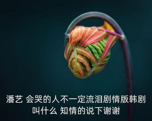 潘藝，潘藝 這兩個(gè)字用英文怎么說(shuō)
