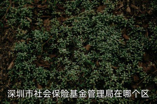 深圳市社會(huì)保險(xiǎn)基金管理局在哪個(gè)區(qū)