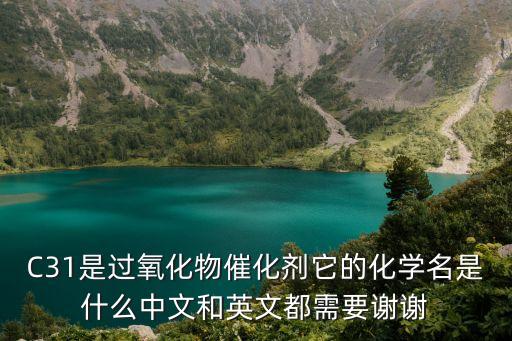 c31，C31 A33代表什么謝謝