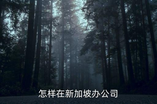 怎樣在新加坡辦公司