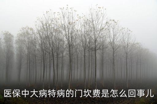 醫(yī)保中大病特病的門坎費(fèi)是怎么回事兒