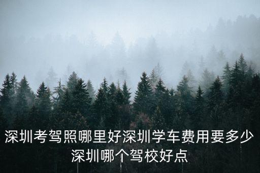 深圳學車，深圳考駕照哪里好深圳學車費用要多少深圳哪個駕校好點