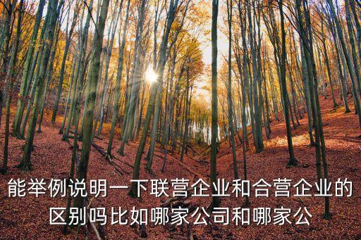 能舉例說(shuō)明一下聯(lián)營(yíng)企業(yè)和合營(yíng)企業(yè)的區(qū)別嗎比如哪家公司和哪家公
