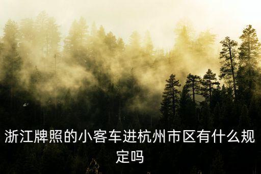 浙江牌照的小客車進杭州市區(qū)有什么規(guī)定嗎